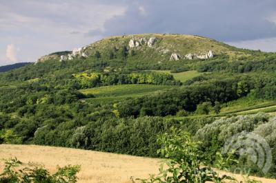 CHKO Pálava
