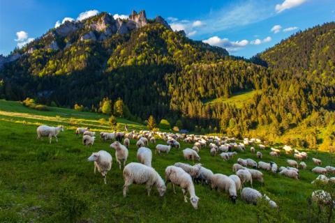 Nízké Tatry – aquapark, jeskyně, Chopok a slovenské památky