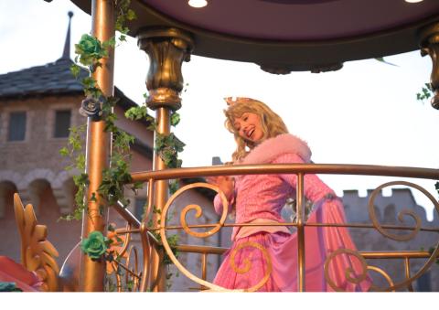 Paříž a Disneyland pro mladší školáky
