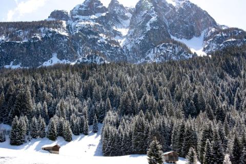 Kurz lyžování v italských Dolomitech/Sappada