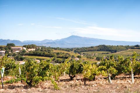 Francouzská Provence: Od antických arén až po brány Orientu